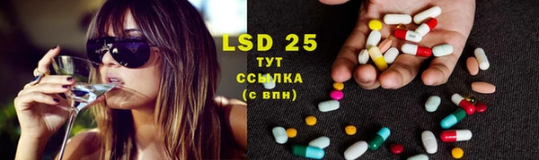PSILOCYBIN Алзамай
