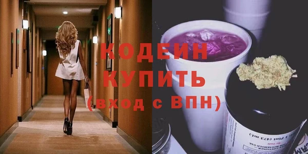 индика Слюдянка