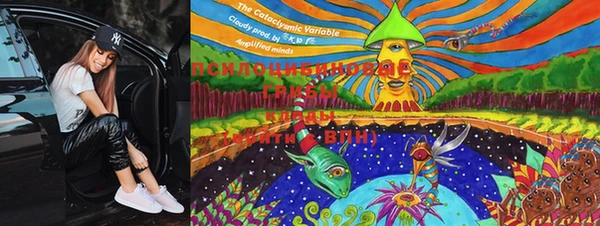 PSILOCYBIN Алзамай