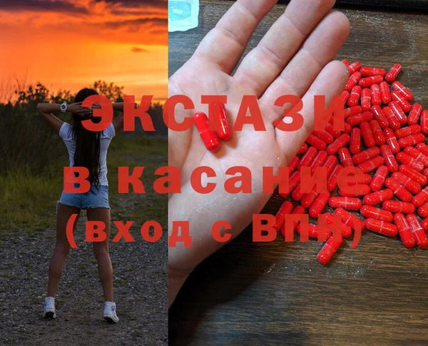 индика Слюдянка