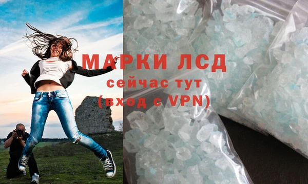 PSILOCYBIN Алзамай