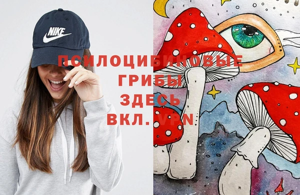 герыч Снежногорск
