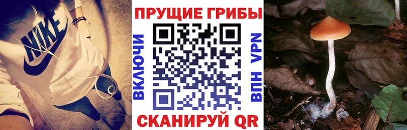 Псилоцибиновые грибы MAGIC MUSHROOMS  площадка как зайти  Бронницы 